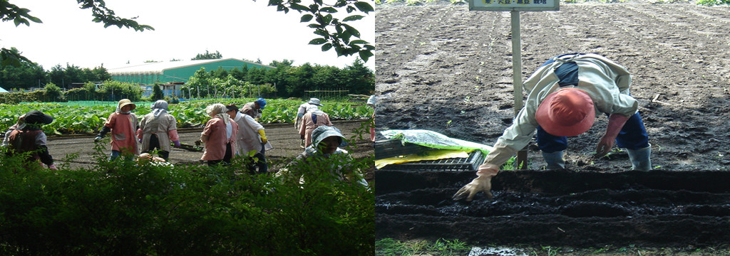 教育ファーム促進事業に協賛